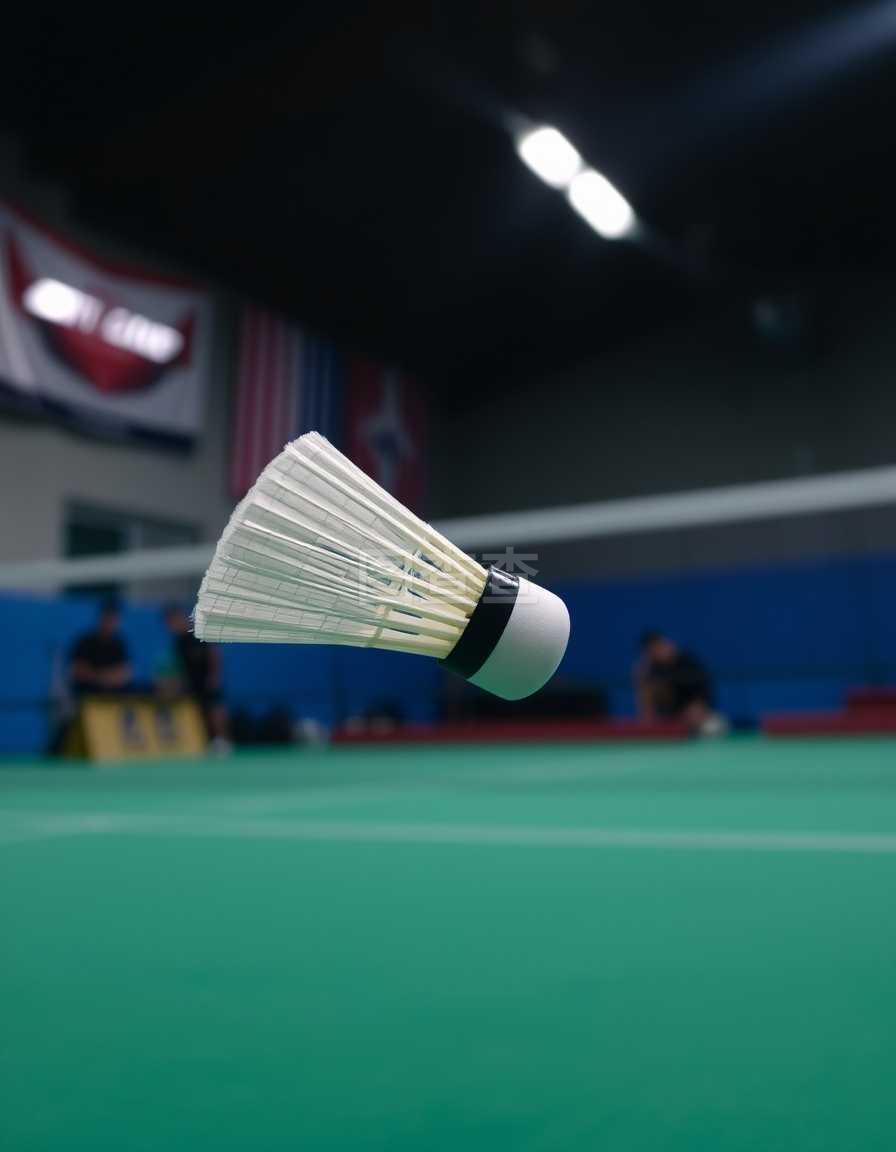 现出强硬的 现出强硬的