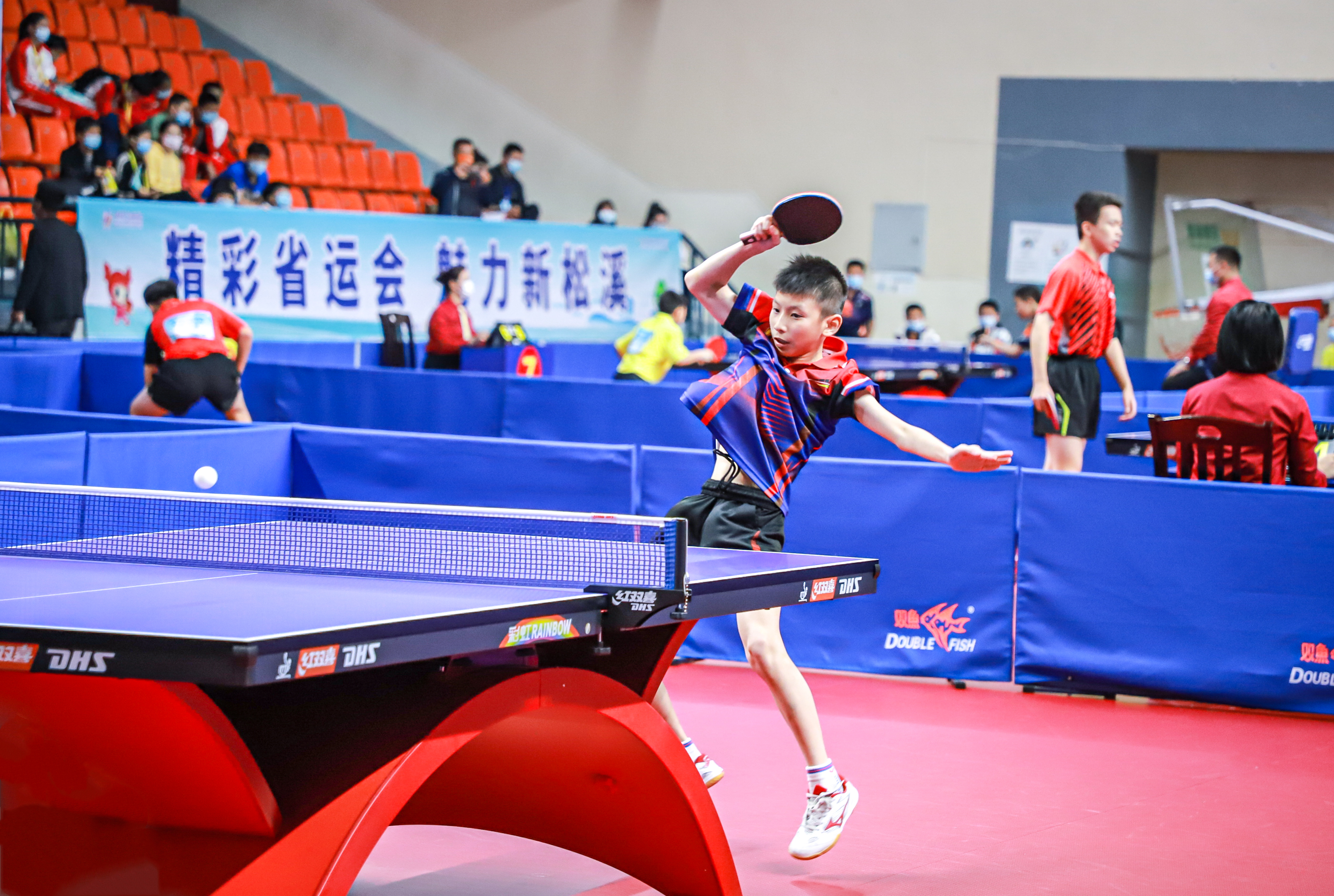 的实力展露 的实力展露